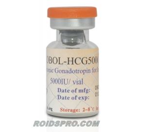 HCG 5000 for sale | HCG 5000 IU x 10 Vials | Global Anabolics
